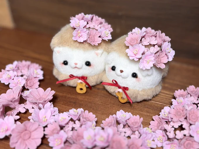 💭いとわたあめ💭美桜 on X: 