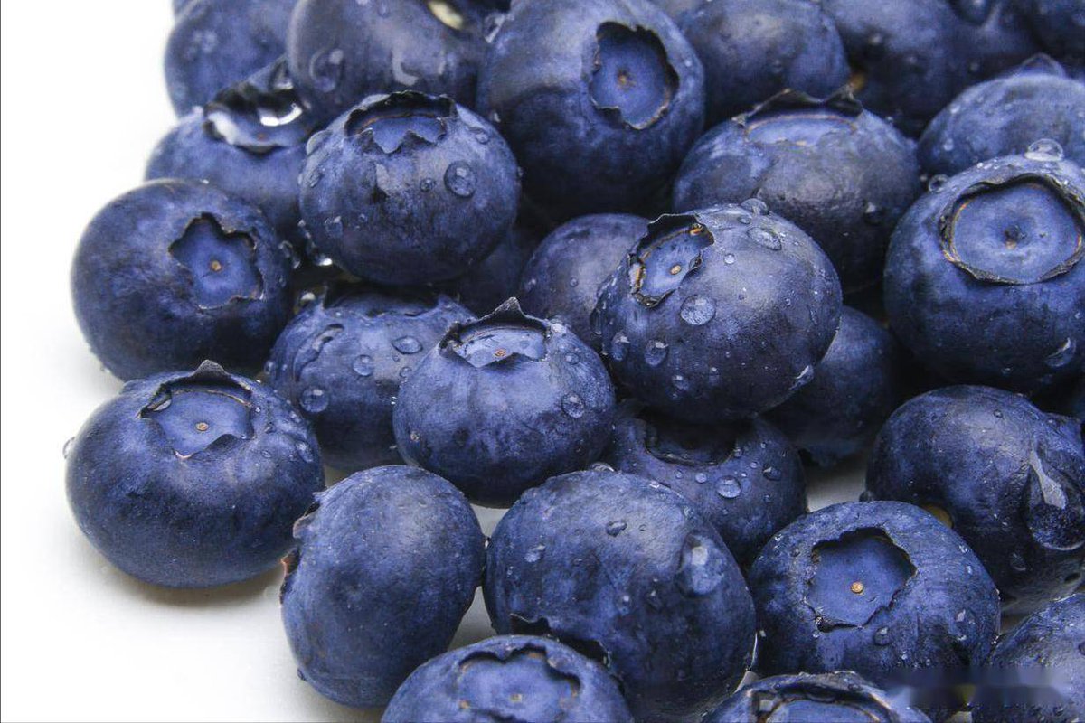 Deepak2607028's tweet photo. Just tried these wild blueberries from local organic farms—burst with natural sweetness, no added sugar, and packed with antioxidants! Perfect for oatmeal or snacking. 10/10 would repurchase! https://t.co/7Fv7Cy5RVB