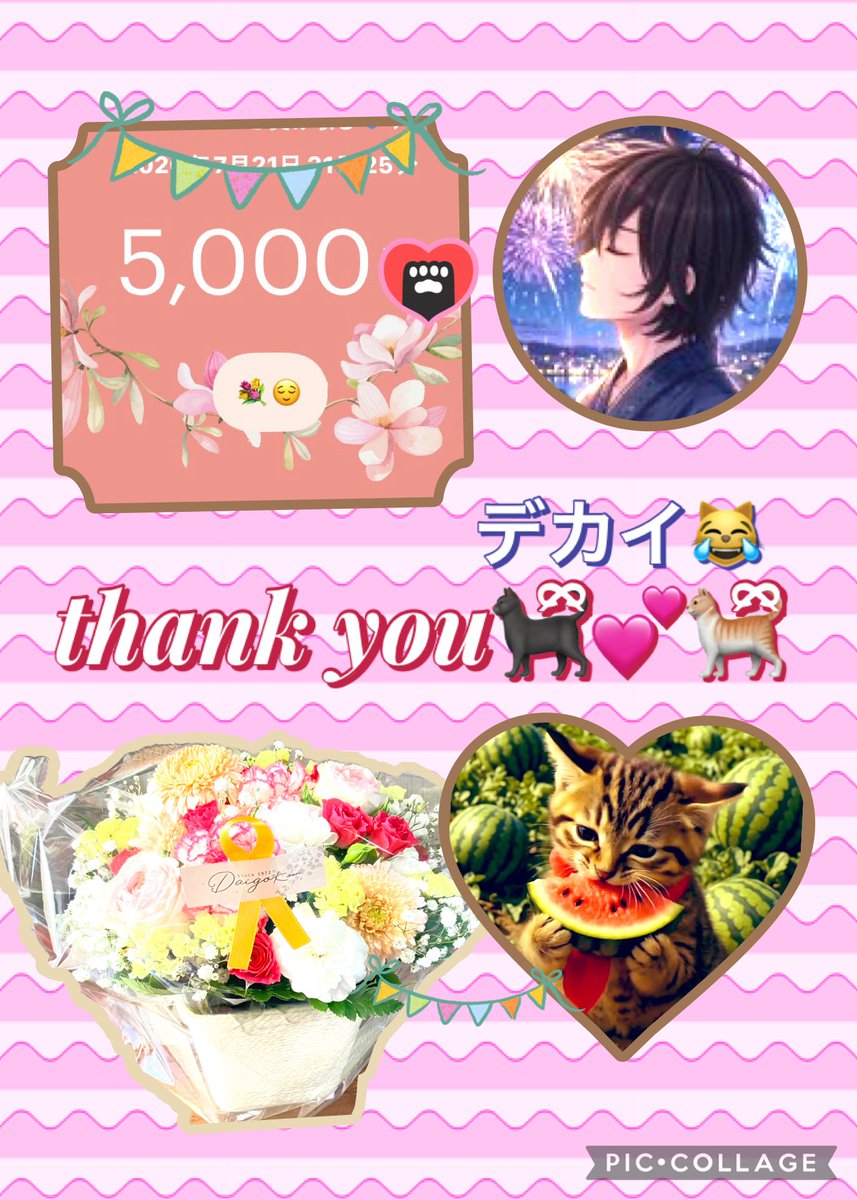 おぴっこさん。ご確認お願い致します♡ メྀིロリ🎀ྀི₍^. .^₎⟆ྀི♡🐾 (@0_lucky_cat_0) / Posts / X