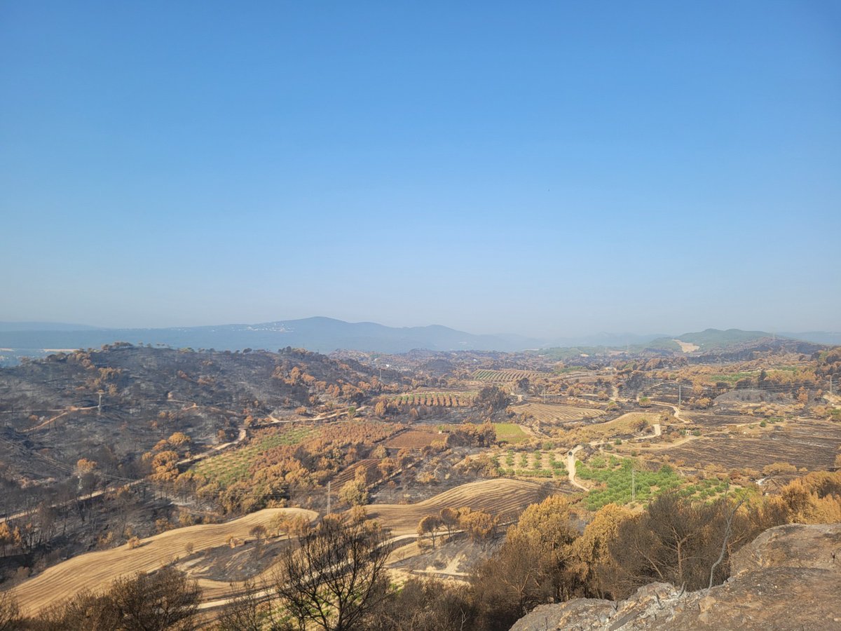 PelClima's tweet photo. 🎙️ Compartim l’entrevista de Ràdio Vilanova a Gumarsind Parcerisas i Jofre Rodrigo, membre de Per la Conca i gerent de l’APF Miralles-Orpinell, sobre l’incendi de la Pobla de Claramunt, la gestió forestal i la importància del mosaic agroforestal. 🌿🔥 https://t.co/WKGsPVTIHY