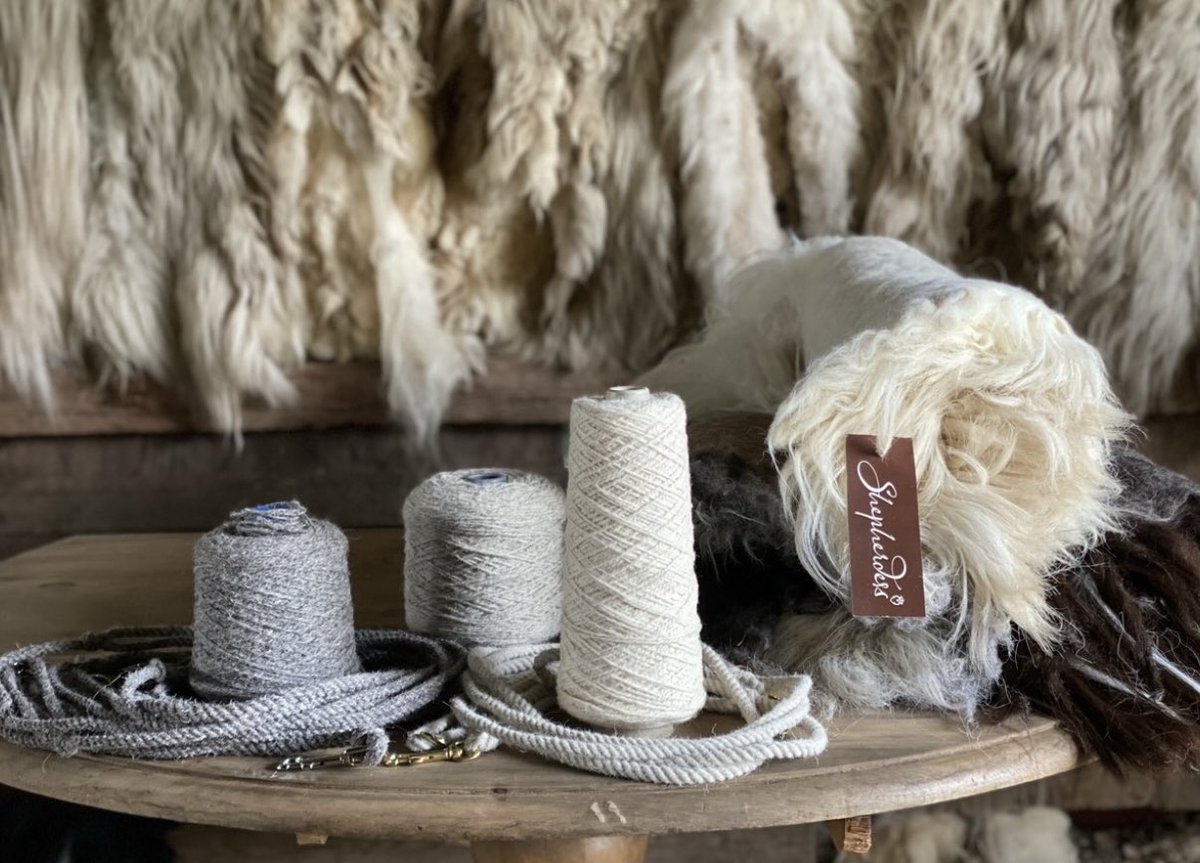 Alison O’Neill ~ Shepherdess tweet media