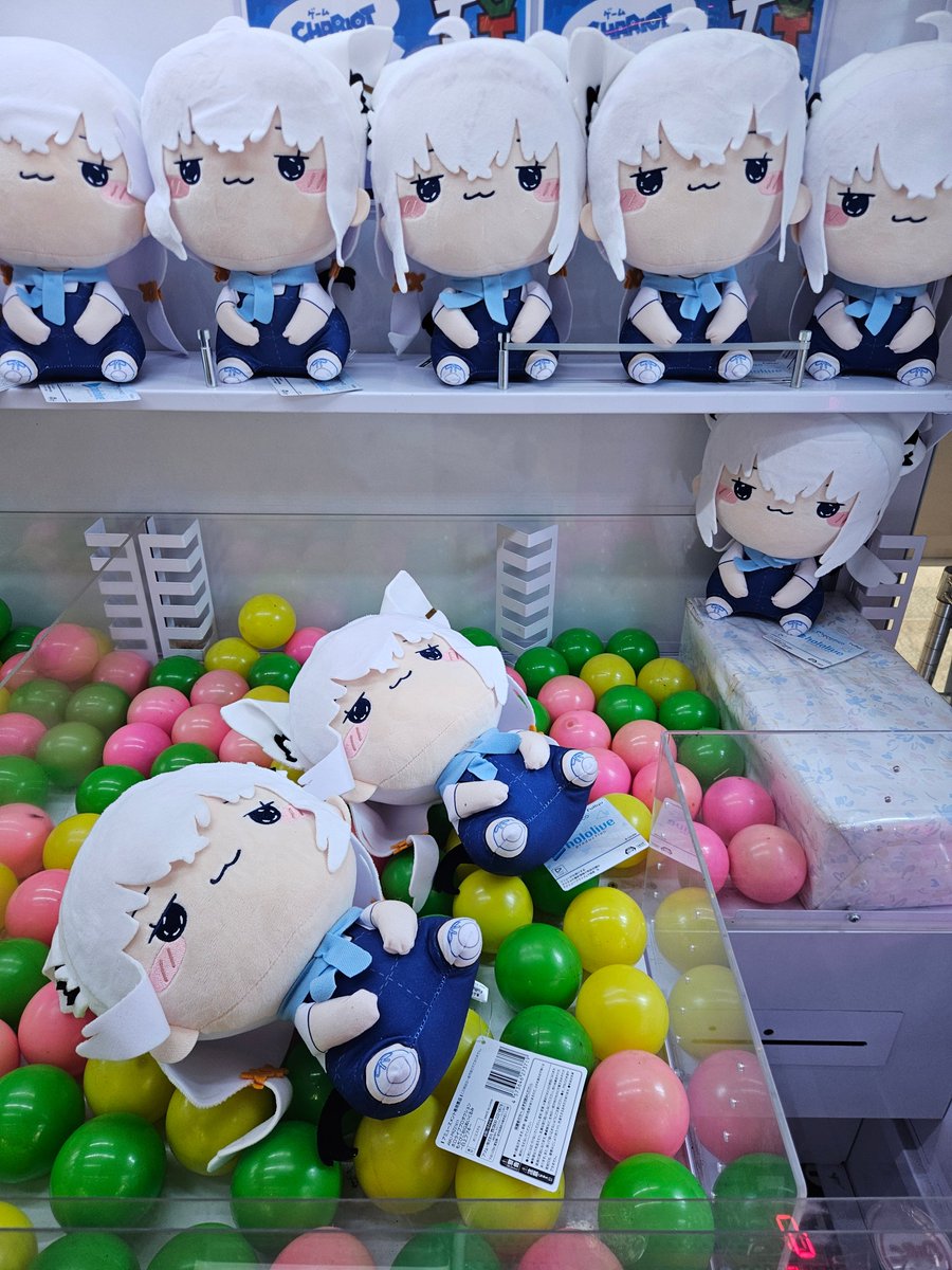 goichari's tweet photo. 【新景品情報】
ホロライブ #白上フブキ さんのぬいぐるみを投入中！🙌 
この独特なドヤ顔がたまりません🌽
上段にズラッと並んでおりますので、お見逃しなく！ 
ご来店お待ちしております🎯 

#hololive #プライズ #クレーンゲーム #五井チャリ https://t.co/pw7mZP3w81