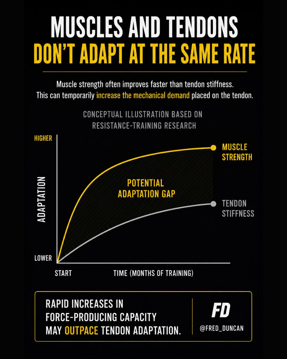 Fred__Duncan's tweet photo. Getting stronger is only part of the equation. The structure of your training matters just as much.

This is one of the biggest reasons we periodize training. We don’t jump straight to max speed, maximal plyometrics, or the highest training loads. 

We build the foundation https://t.co/hl1HYF6s2m