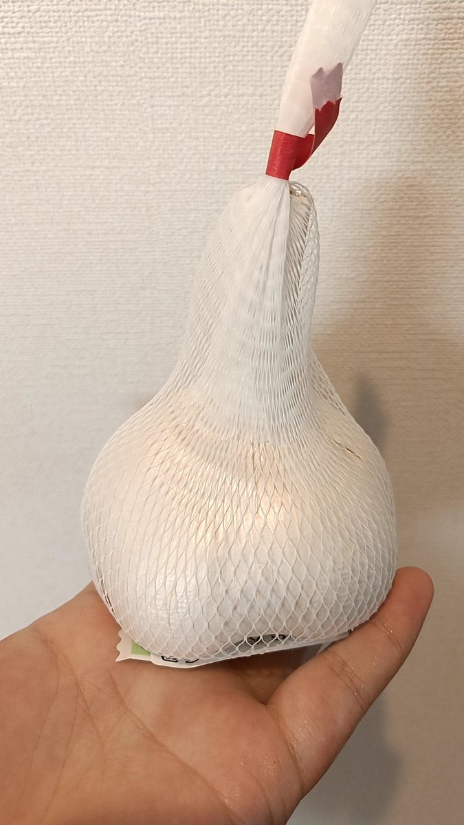 wanco0910's tweet photo. クソデカニンニク。 https://t.co/eHnmsM6oys