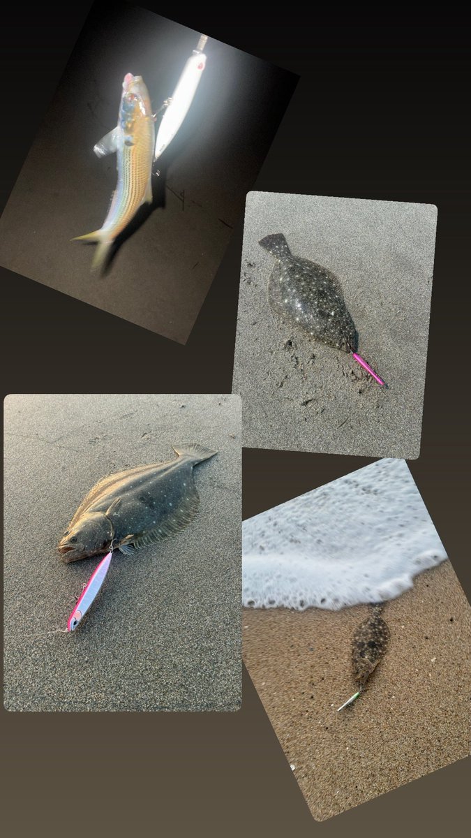Ej4I9m8sc7yLEuw's tweet photo. 3日間、雰囲気ある場所、いい地形の場所でできました。お会いした凄腕アングラーの皆様ありがとうございました😊
またよろしくお願いします。

#DUOinternational
#DUOモニター
#BeachWalker
#PR https://t.co/UmHi9gELzB