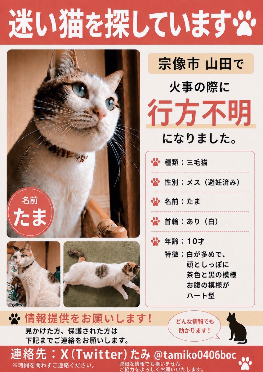 tamiko0406boc's tweet photo. 皆様たくさん拡散ありがとうございます。
連絡は直接DMでお願いします！ https://t.co/12slCtGLsJ