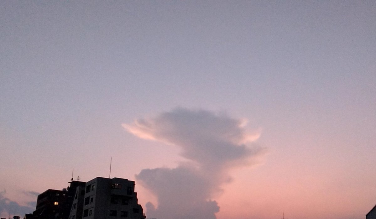 mirumiruworld's tweet photo. 不思議☁ https://t.co/Jv53GJyfiL