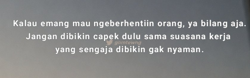 zky tweet media