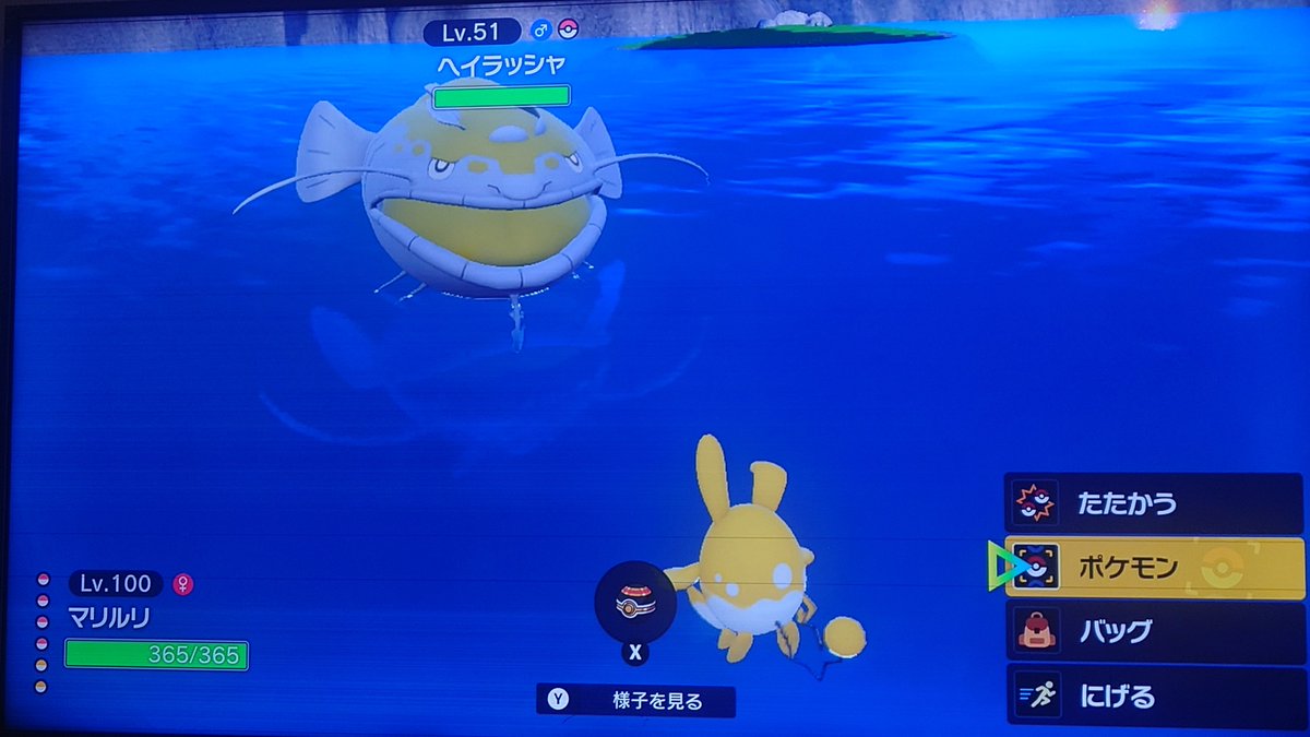 umibass's tweet photo. 冷凍庫に魚たくさんいるから最近はポケモンで遊んでます

ポケモンのツイート全然しないけど実は結構してます←

このピカチュウの動きかわいすぎる

チャンピオンズは自分のポケモンって感じがしないのでしなくなっちゃいました(^_^;) https://t.co/o9HRjjj21D
