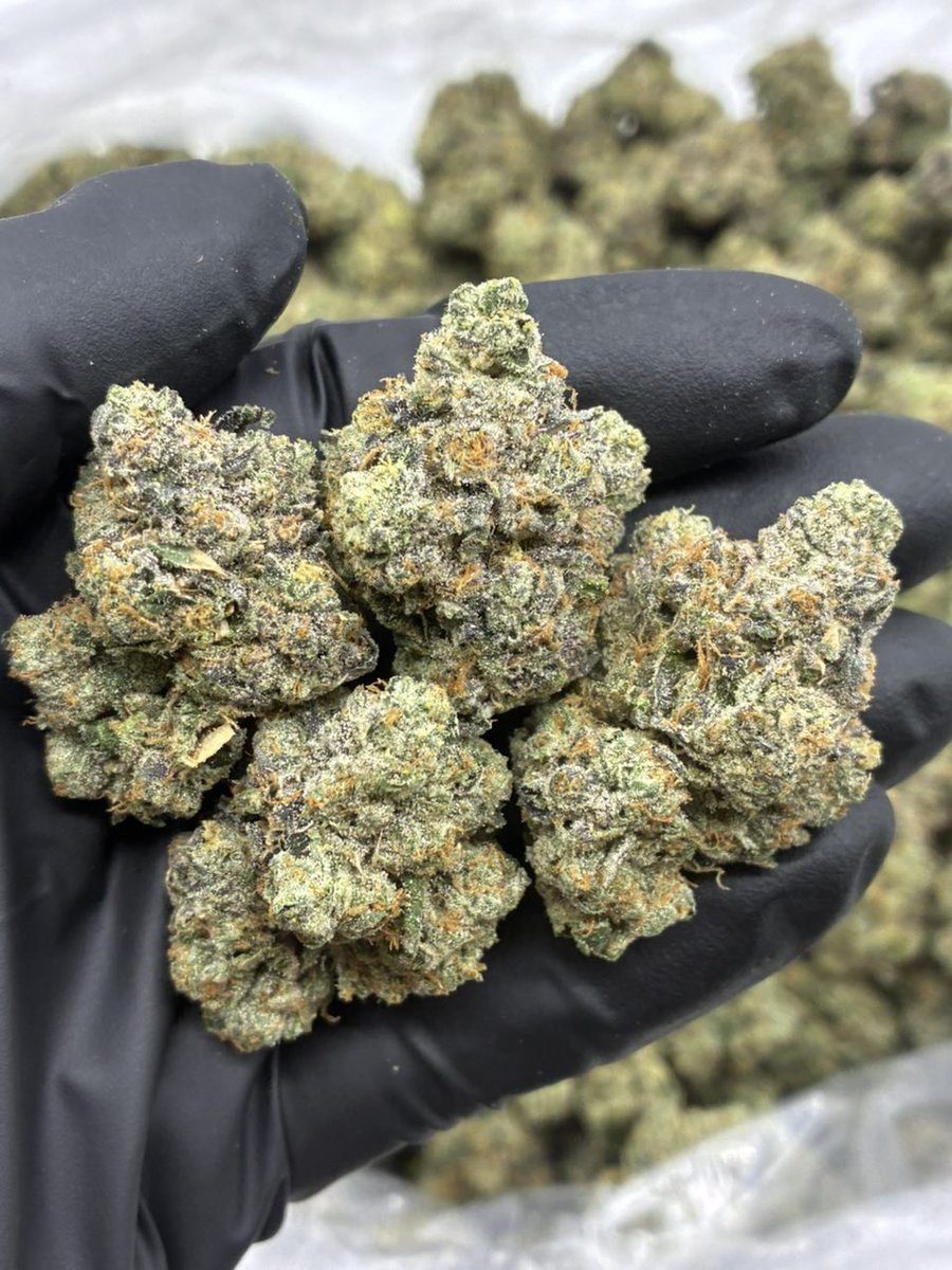 puffzlife's tweet photo. Top shelf Indoor Exotic Candy premium Weed Real Zaza Cali  kush gas flower Weed man in Los Angeles California Charlotte weed in North Carolina, Ny Weed in Alabama, Aliquippa Georgia THC liquid in Riyadh Amman Nyc Atl weed plug in Florida 

DM to Order: https://t.co/sPlOXT3kYZ https://t.co/g1CxA0ip70