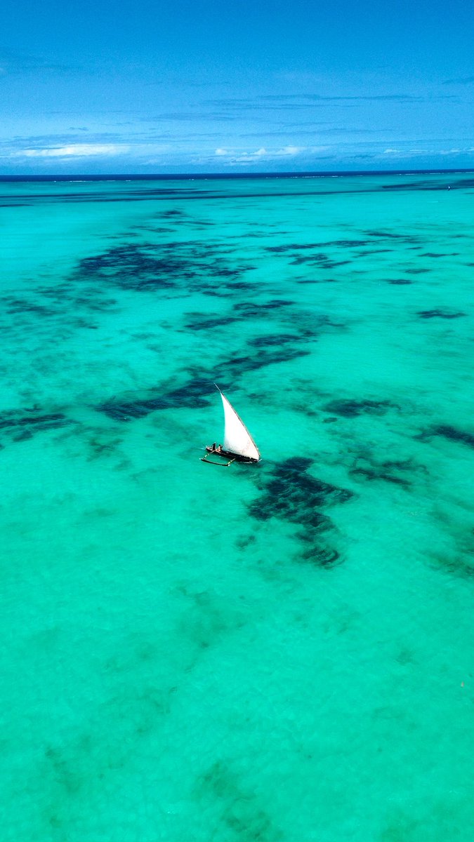 ELIASBCB1's tweet photo. Zanzibar c’est fort aussi… https://t.co/6VZKa2LiIu