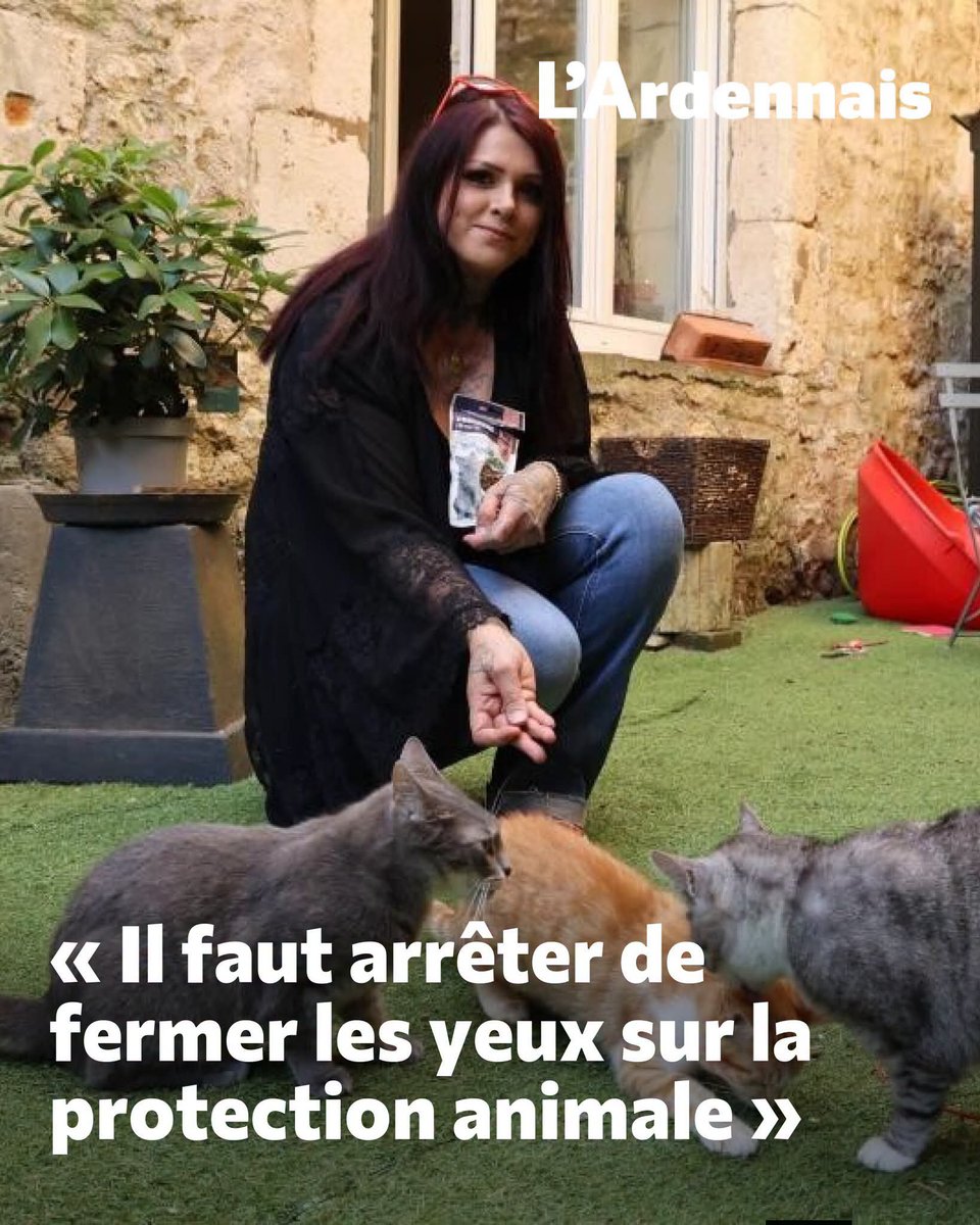 AdeaClaude's tweet photo. Sarah Colinet vient de créer une nouvelle association pour les chats errants dans les Ardennes 👇
➡️ https://t.co/bHzQmCK0NT https://t.co/4qLKZpi0em
