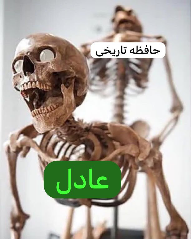 policenama1401's tweet photo. عملکرد امروز حافظه تاریخی 👇

#ننگ_بر_جمهوری_اسلامی https://t.co/Up50OMv5UD