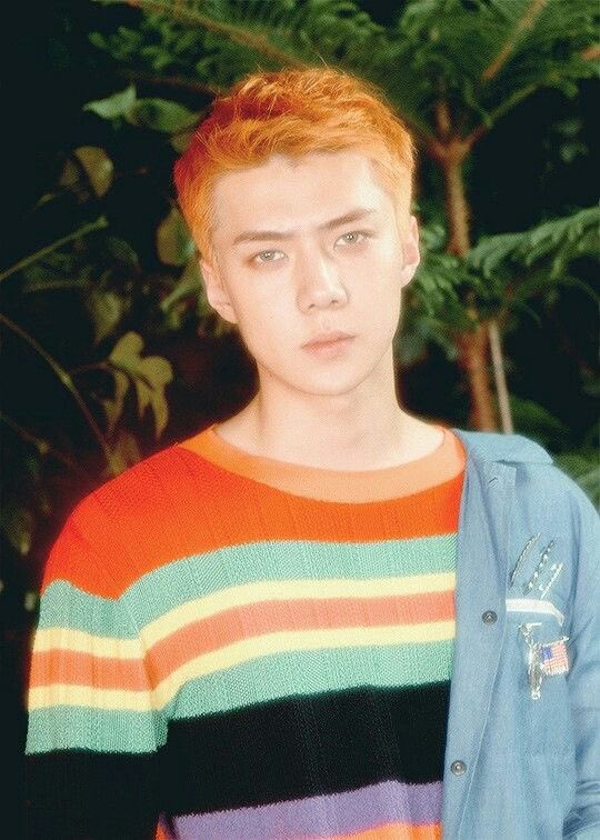 exopufff tweet picture