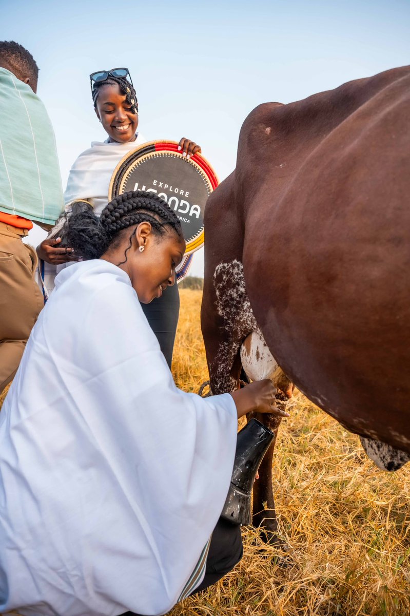 ExploreUganda's tweet photo. Explore Ankole https://t.co/6xWxftxbDy