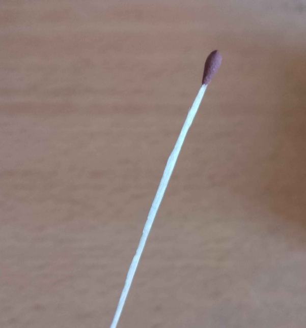 Atun3xplotado2's tweet photo. IBA A HACERME ALGO DE COMER Y CUANDO ABRO LA CAJA DE FOSFOROS VEO ESTO 😭😭😭😭😭

POR QUE ES TAN DELGADO 🥀🥀💔💔 https://t.co/5sugvPEQqi