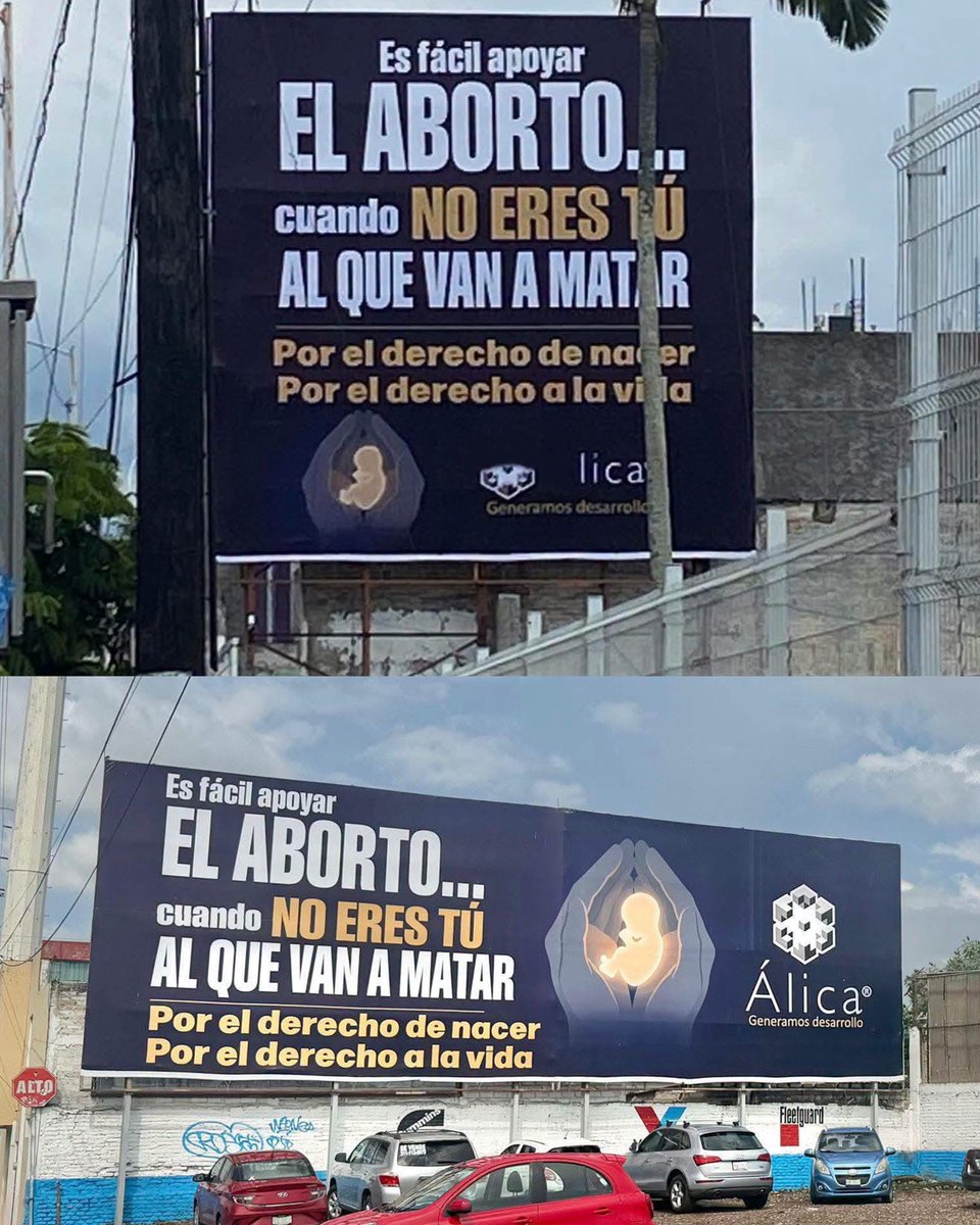 CarlRamirezA's tweet photo. ¡Gran campaña! Gracias por alzar la voz. La causa ProVida sigue promoviendo CULTURA. 👨🏻‍💻🫡 https://t.co/CFSFzf4n8a