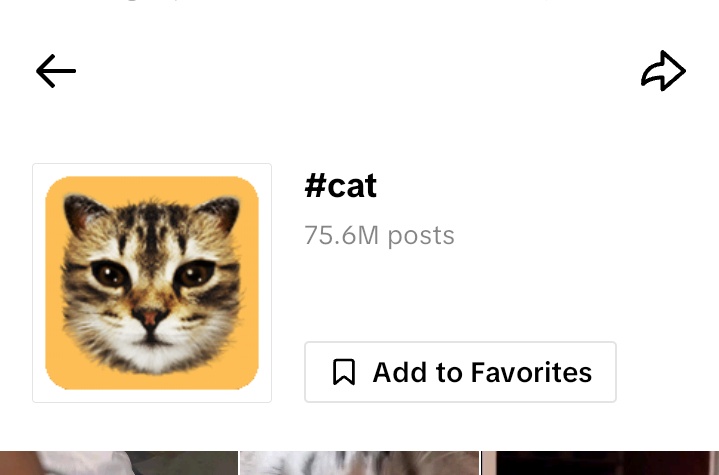 9yneSols's tweet photo. I searched #cat on my TikTok search bar and guess who I found

Send it higherrrr 🚀 https://t.co/QRk1XdZMBS