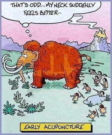 DianeMazer's tweet photo. A little Elephant Humor speaking of Elephants. How's your memory?
#dailyactionswithgratitude 💯
#feelinlightdawgsquadvibrstions
#healerverse💥
#preventioncareheals 💟🎶✨️ https://t.co/R9yB5BxFxC