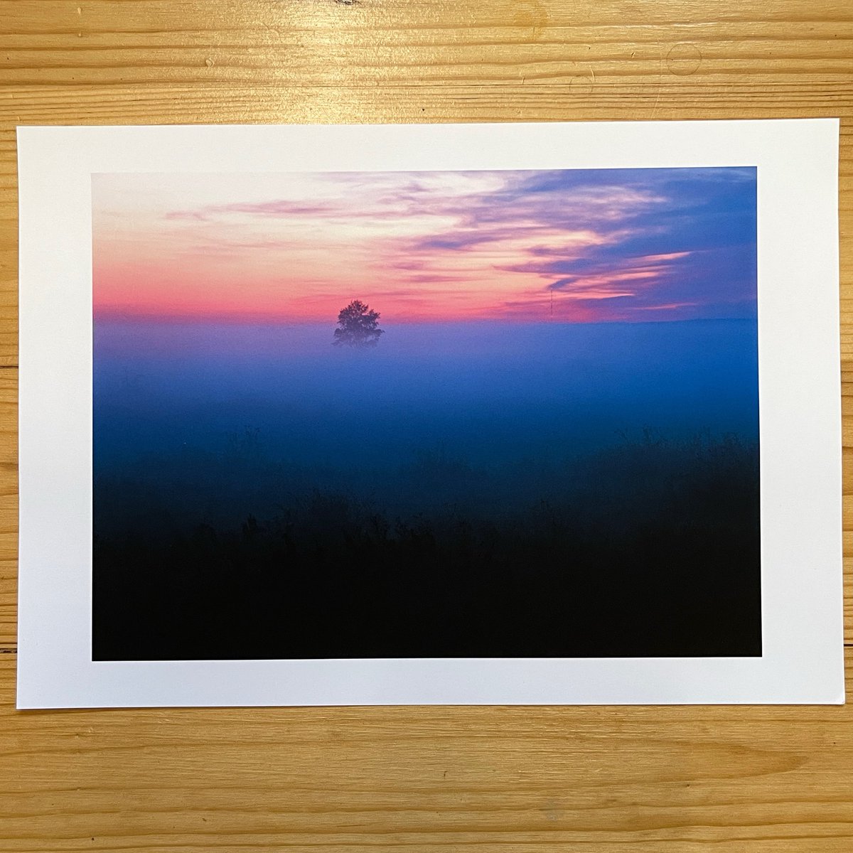 snapthisview's tweet photo. Any color you like, provided it’s Velvia!
©Krzysztof Burzyński
(Wall Art to Stare At)
#filmphotography #vintagephotoworkflow #pentax645 https://t.co/hESr5RqSUS