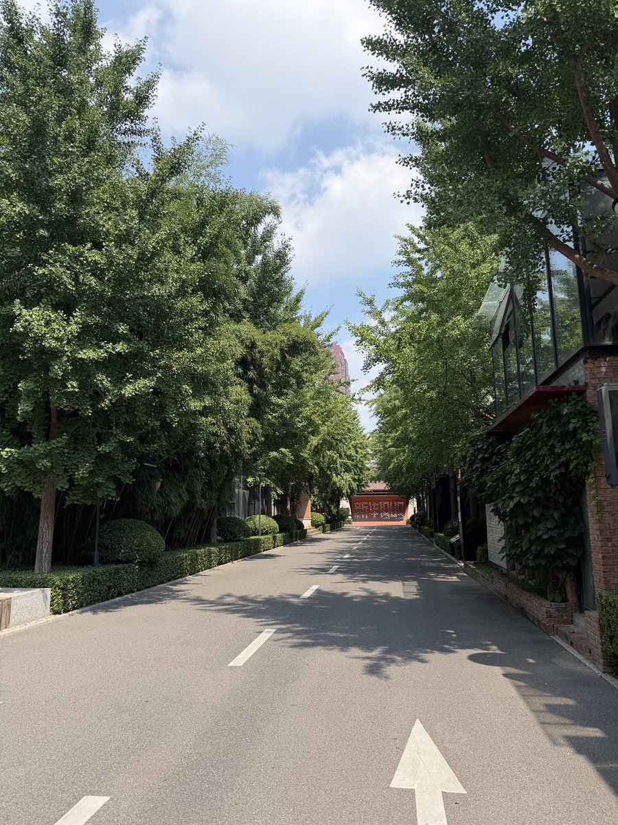 D12661266's tweet photo. 溜达溜达 https://t.co/aHkkLPpVaM