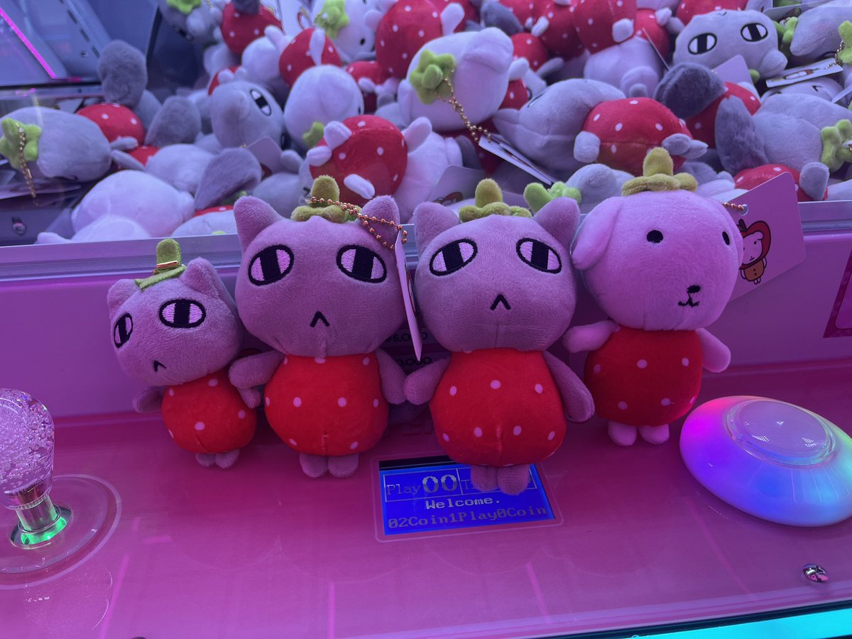hupyhhhh's tweet photo. 친구랑 밥먹고 인뽑하는데 박성호가 뽑아달라는 눈빛 보내길래 너무 많이 뽑음..;;; https://t.co/z0aqucbg0T