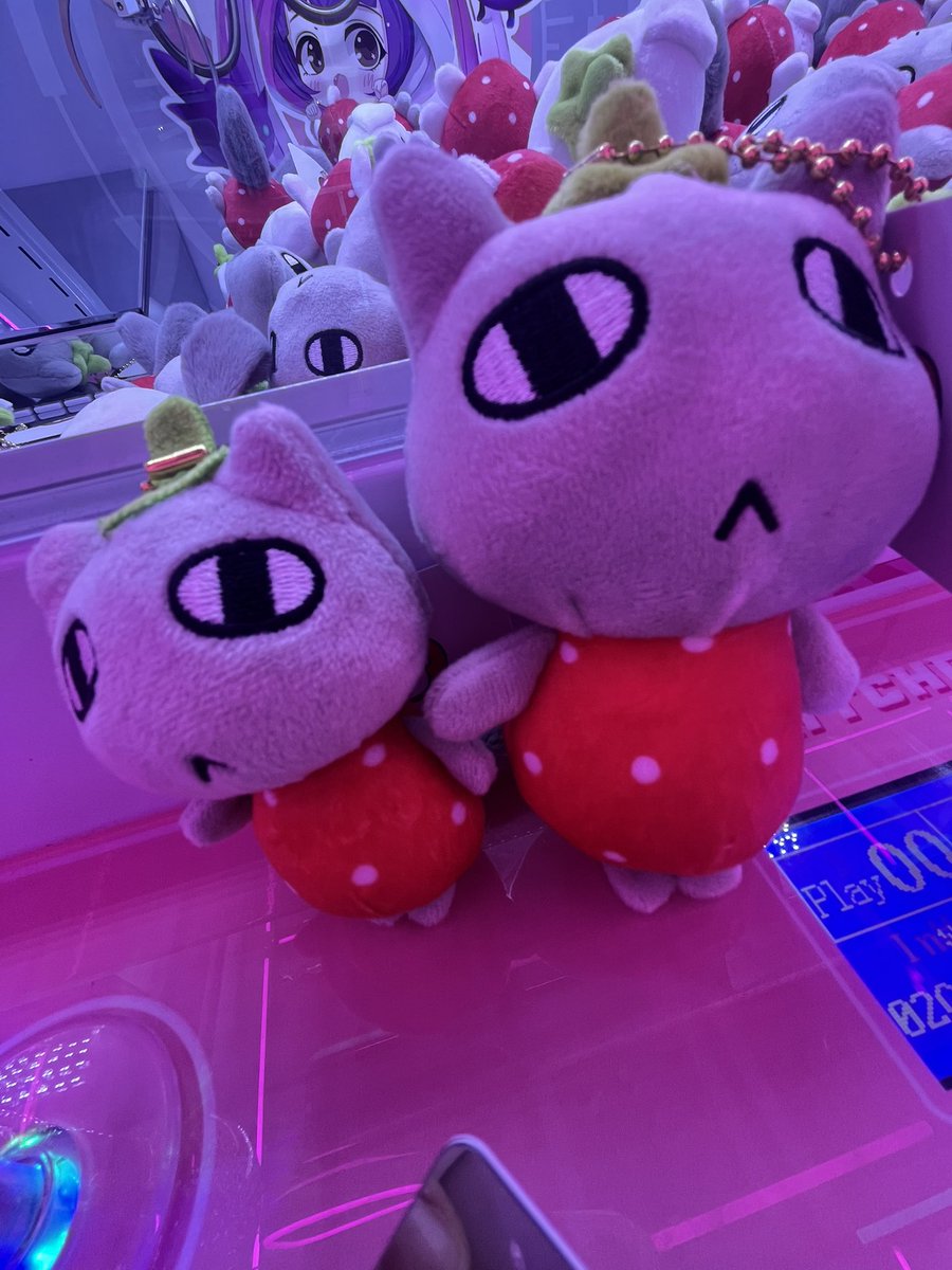 hupyhhhh's tweet photo. 친구랑 밥먹고 인뽑하는데 박성호가 뽑아달라는 눈빛 보내길래 너무 많이 뽑음..;;; https://t.co/z0aqucbg0T