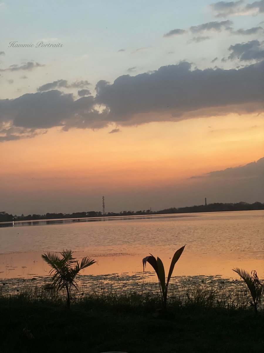 hammie_portrait's tweet photo. Nature 📸

Somewhere in Ilorin https://t.co/yqnGNzxlQs