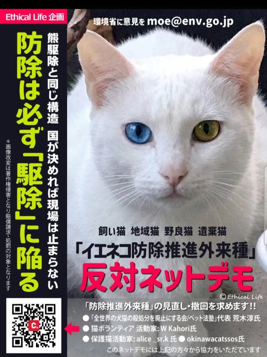 sakupan__1204's tweet photo. 政府が希少種の保護を大義名分にし、莫大な利権の為に猫を悪者にして大量に殺処分している愚行を全国に拡げようとしています。
無責任な人間のせいで過酷な環境で必死に生きる命をこれ以上苦しめるのですか？今以上に動物虐待が増えるのは確実です。断固反対します。
#イエネコ防除推進外来種反対 https://t.co/BmaMUcHTEN