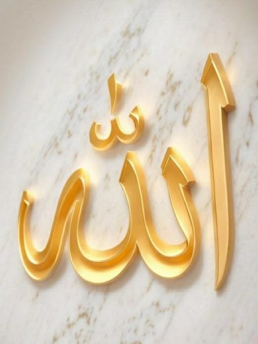 ℕ𝕚𝕟𝕚 𝕄𝕒𝕝𝕚𝕜 (ℙ𝕋𝕀) tweet media