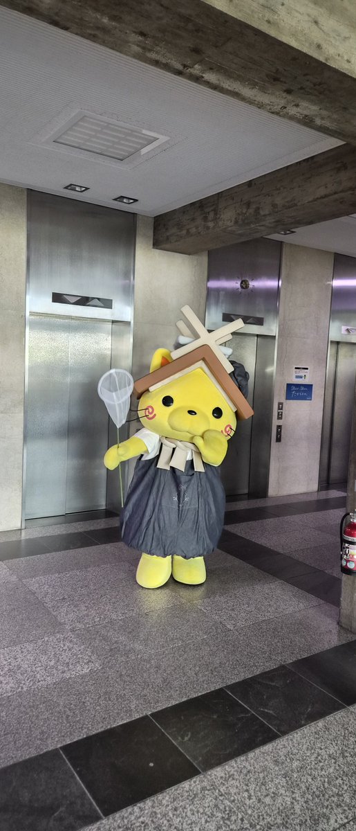 SyunNikaidoh's tweet photo. 2026.07.22 【松江市】「『しまねっこのお家』グリーティング」するにゃ！
ビッグしまねっこ賞を頂きました。
以前頂いた中しまねっこと一緒に大切にします。
ありがとうございました。
#しまねっこ https://t.co/lToQcuTAw2