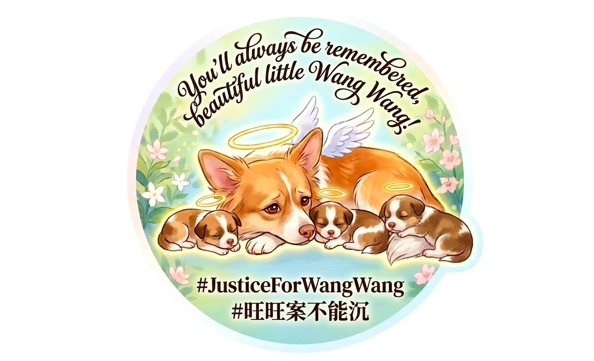 Jen00695484's tweet photo. @YesterdayBigcat #JusticeForWangWang https://t.co/AqP1REqExU