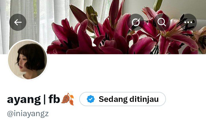 iniayangz's tweet photo. guys tadi tuh tanda centang nya muncul, sekrang tiba² gaada.. ini kenapa ya🥹 https://t.co/WlNbZVCZVP