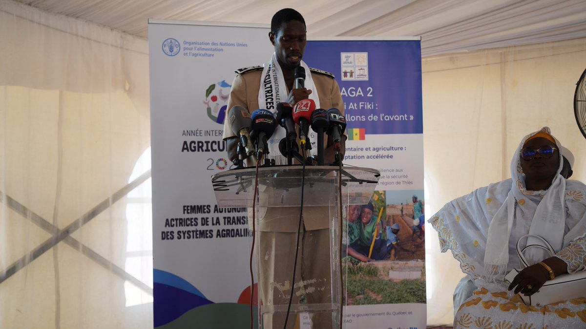 FAOSenegal's tweet photo. 📍Thiès|🗓️16 juillet
À Notto Diobass, la @FAO poursuit les célébrations de l'#AnnéeDesAgricultrices avec une journée portes ouvertes mettant à l'honneur les femmes rurales, leurs savoir-faire et les résultats des projets qui renforcent leur autonomie et leur résilience.
 #SAGA2 https://t.co/qhxjmM4hGE