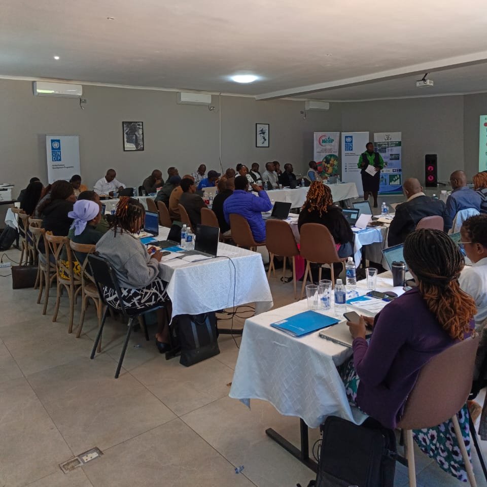 UNDPZimbabwe's tweet photo. From data to action.

Participants at the ongoing @UNDPZimbabwe  & @IFAD M&E training are gaining hands-on experience in M&E Concepts, Excel-based analysis, Power BI dashboards, digital data collection tools, and evidence-based reporting, strengthening institutional capacity for more effective programme delivery and accountability.  #zimMelweek2026 #MonitoringAndEvaluation #DataForDevelopment