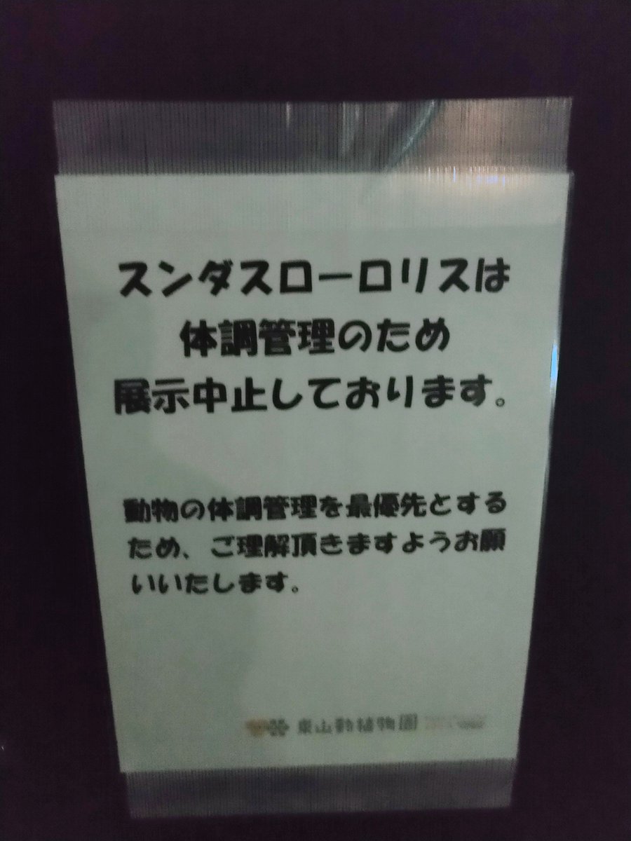 machimonogatari's tweet photo. なんと！😳
スンダスローロリスさんたちは暑さとは関係ないとは思うけど
もちろん、動物の体調管理最優先でよろしくお願いいたします🙏 https://t.co/iT3qts0ugd