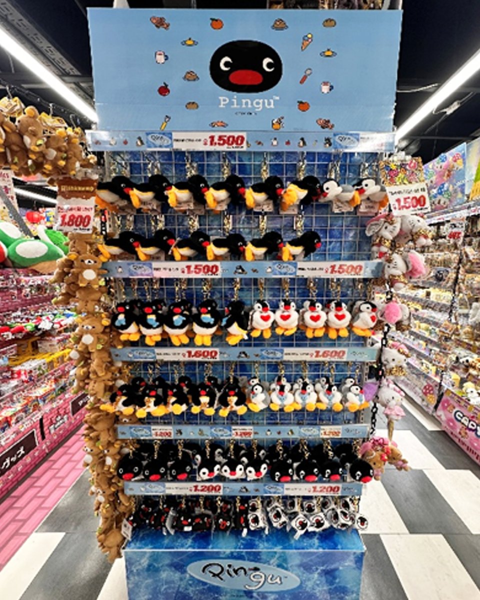 pingu_jpn's tweet photo. 📢お知らせ🐧💙

ピングーグッズが全国16店舗のドン・キホーテで販売スタート！

📍北海道
・MEGA札幌狸小路本店

📍東京
・銀座本館店
・MEGA渋谷本店
・浅草店
・池袋西口店
・秋葉原店

📍愛知
・栄三丁目店

📍京都
・京都アバンティ店
・四条河原町店
・四条通店

📍大阪
・MEGA新世界店
・なんば千日前店
・道頓堀御堂筋店
・梅田本店

📍福岡
・中洲店
・福岡天神本店

お近くにお越しの際は、ぜひチェックしてみてください✨

※取り扱い商品・在庫状況は店舗により異なります。

📢Announcement🐧💙

Pingu merchandise is now on sale at 16 Don Quijote stores nationwide!

📍Hokkaido
・MEGA Sapporo Tanukikoji Main Store

📍Tokyo
・Ginza Main Store
・MEGA Shibuya Main Store
・Asakusa Store
・Ikebukuro West Exit Store
・Akihabara Store

📍Aichi
・Sakae 3-chome Store

📍Kyoto
・Kyoto Avanti Store
・Shijo Kawaramachi Store
・Shijo-dori Store

📍Osaka
・MEGA Shinsekai Store
・Namba Sennichimae Store
・Dotonbori Midosuji Store
・Umeda Main Store

📍Fukuoka
・Nakasu Store
・Fukuoka Tenjin Main Store

If you’re in the area, be sure to stop by and check us out! ✨

*Products carried and inventory status vary by store.