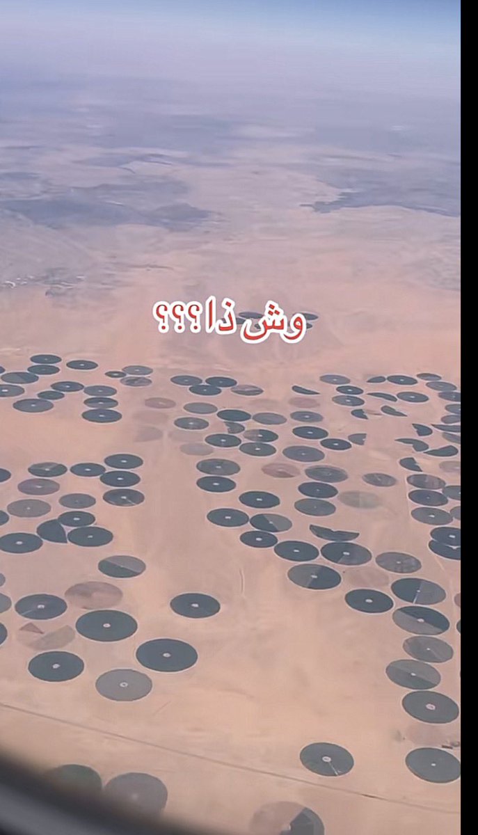 بشــاير ୨ৎ tweet media