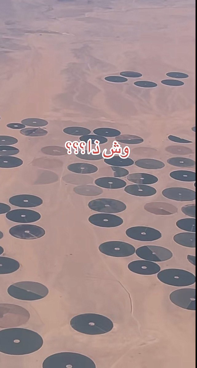 بشــاير ୨ৎ tweet media