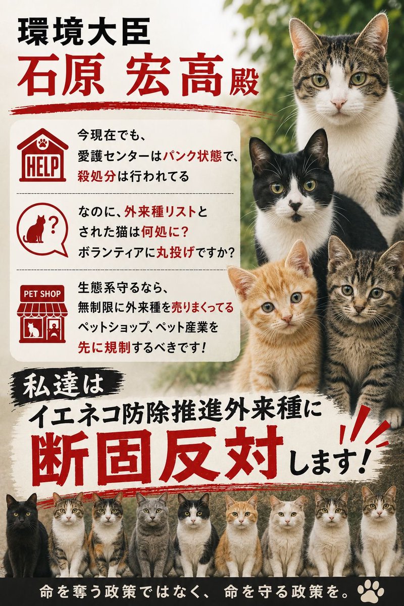 sonnyaonnyanko's tweet photo. https://t.co/SDGnnjseQh
『イエネコ防除推進外来種』
見直しでなく「白紙撤回」して下さい

これは国が動物虐待を
後押ししているのと同じです

真に生態系を守る意思があるなら
ペット産業の生体販売禁止や
外来種の輸入規制など
元から断つ規制に舵を切ってください！
 ＃猫 https://t.co/H4D58To2QZ