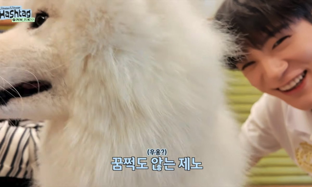 LJNFEED's tweet photo. cuteness overload 🤍 https://t.co/41mpzqeAqu