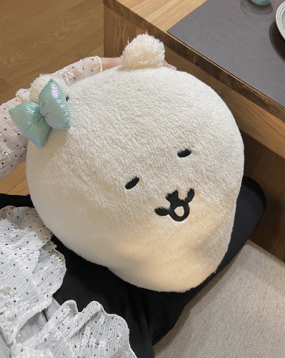 kumahumepo's tweet photo. 安心しろ！おまえよりちっちゃいくまが来ても、おまえはずっとあかたんだからな https://t.co/AEQ23JY2Tz