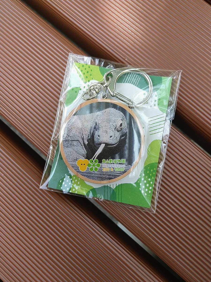 machimonogatari's tweet photo. 動物講座のキーホルダー
タロウくんのが当たったよ！

と、報告に行きましたが寝てました😂
そしてこの時お客さんゼロ😂
#コモドオオトカゲ
#東山動植物園
#千種区 https://t.co/LJupLltp25