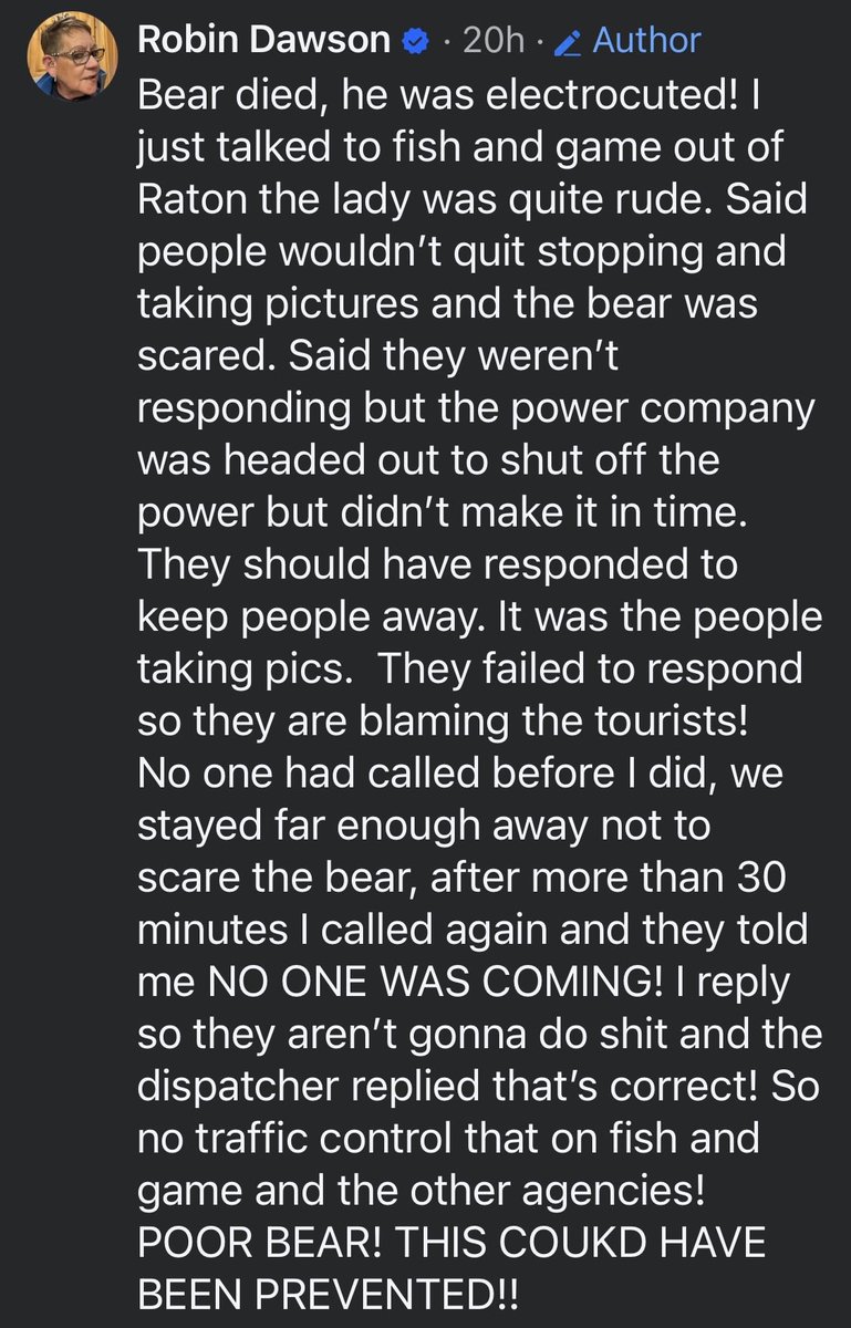 Dyana_'s tweet photo. @ScottEnlow Check the full story on FB. This bear died @Grok

https://t.co/DuTdszutIj https://t.co/CZ369VsMJn