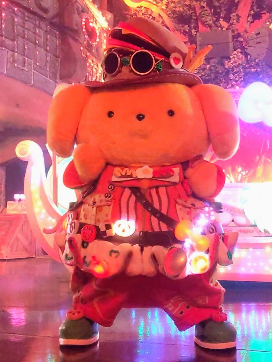 fluffypom416's tweet photo. プリンにたくさん遊んでもらった一日でした🐾 https://t.co/CpQw1cip3F