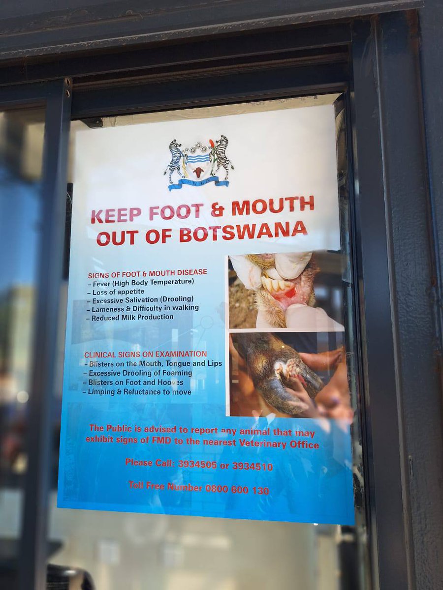 APD_AgricPolicy's tweet photo. Botswana’s FMD situation underscores the need for regional cooperation on transboundary animal diseases. Diagnostics, vaccines, traceability, surveillance and farmer compliance are critical to protecting livelihoods, trade and market confidence. #APD #AUCDARBE #CAADP #FMD #SADC https://t.co/TEmKJpvyDK