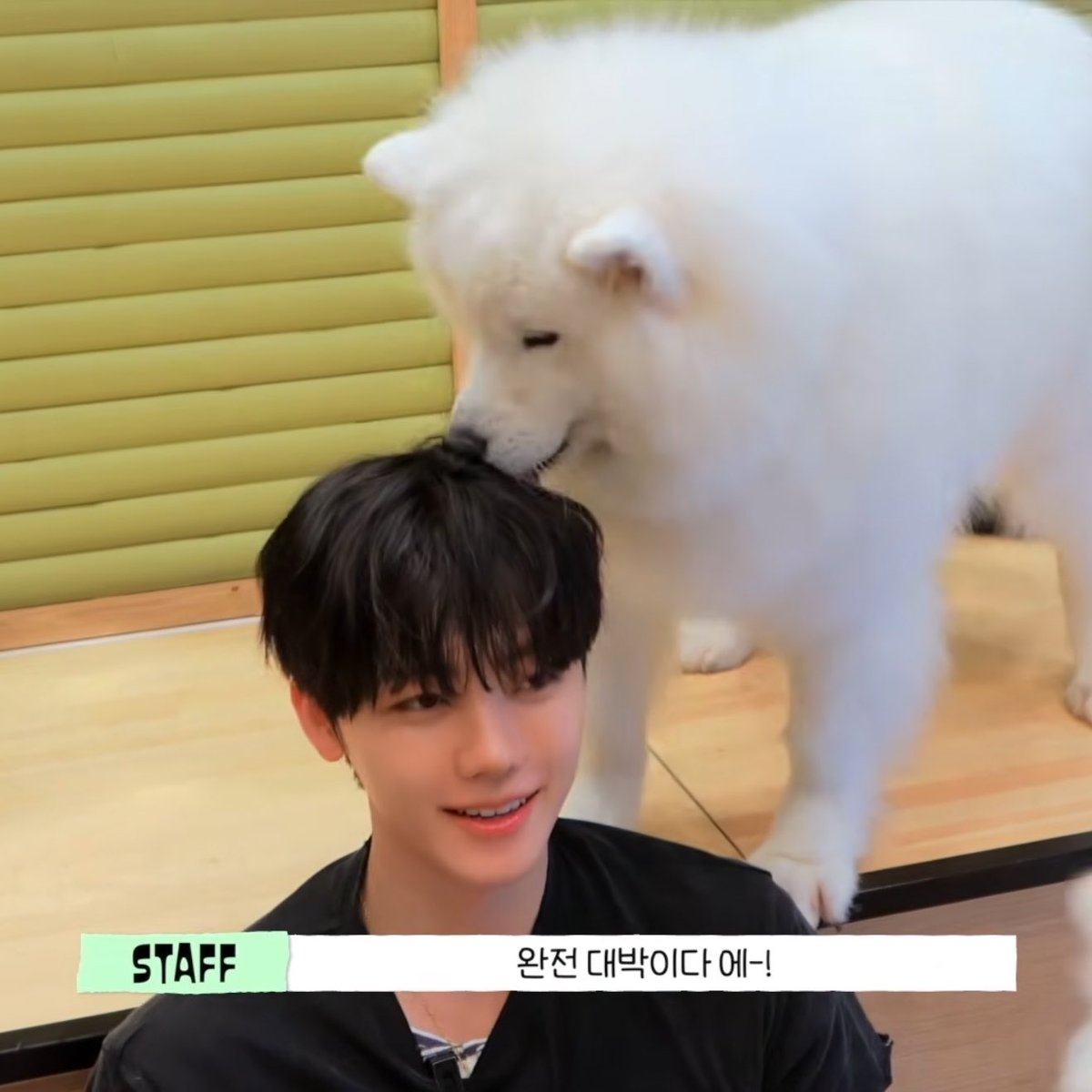 Nomin_nojam's tweet photo. คนไหนเจโน่ตัวจริงคะ 😆😆😆 https://t.co/uhrtyckvyd