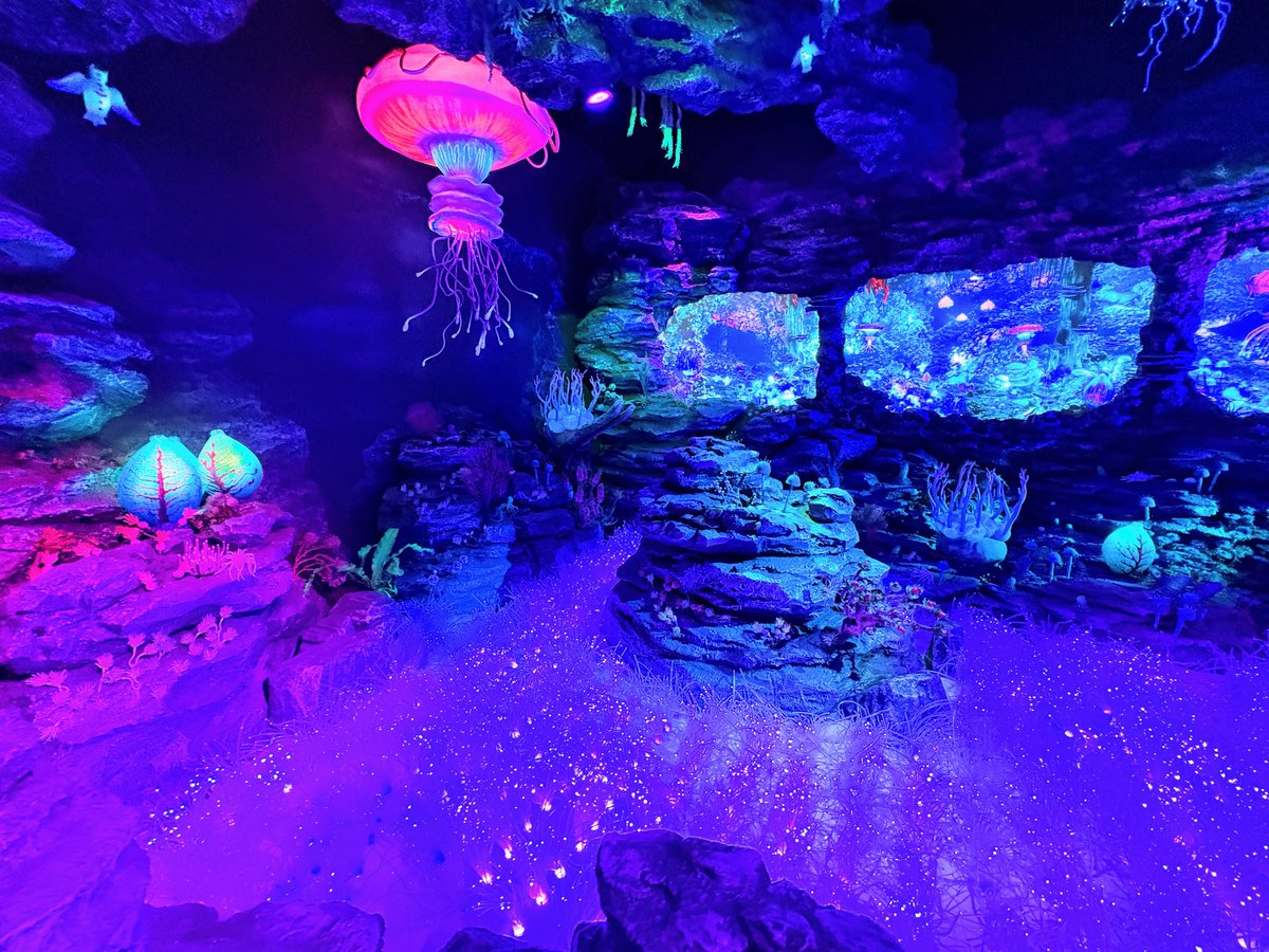 tkgtknyoronyoro's tweet photo. これは沼津港水族館新エリア

ミスアイ&amp;マメラグ好きクラスタに刺さるかも https://t.co/vKingGNpM1