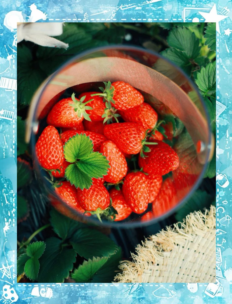 RustyBr10291614's tweet photo. Fresh, crisp, and bursting with natural sweetness—local seasonal strawberries from the farmers’ market are hands down my go-to snack this week! No artificial aftertaste, just pure juicy goodness in every bite. https://t.co/5WnvQPwyH6