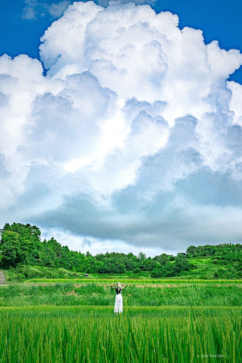 tenchijin2020's tweet photo. 「   夏雲  」

. https://t.co/LWzo0XXla5